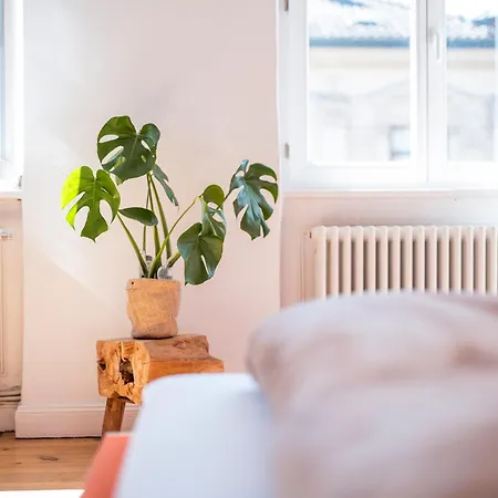 Bunter Hund - Balkon, Zentral, Geraeumig Apartment *